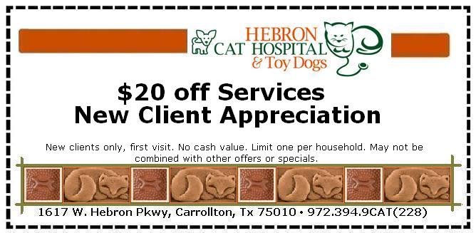 A) $20 off exam