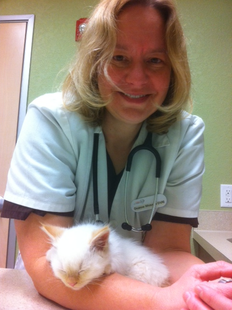 Dee Whissen DVM Dee Whissen DVM