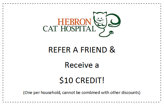 refer a friend