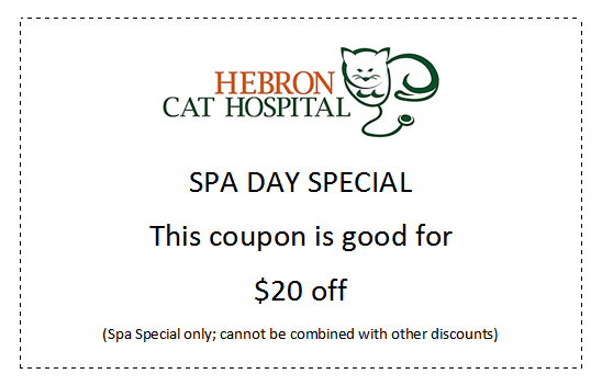 spa day coupon