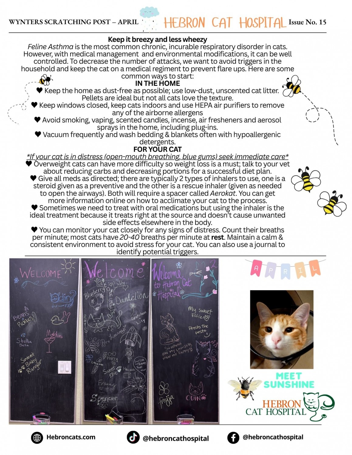 April 2026 Newsletter