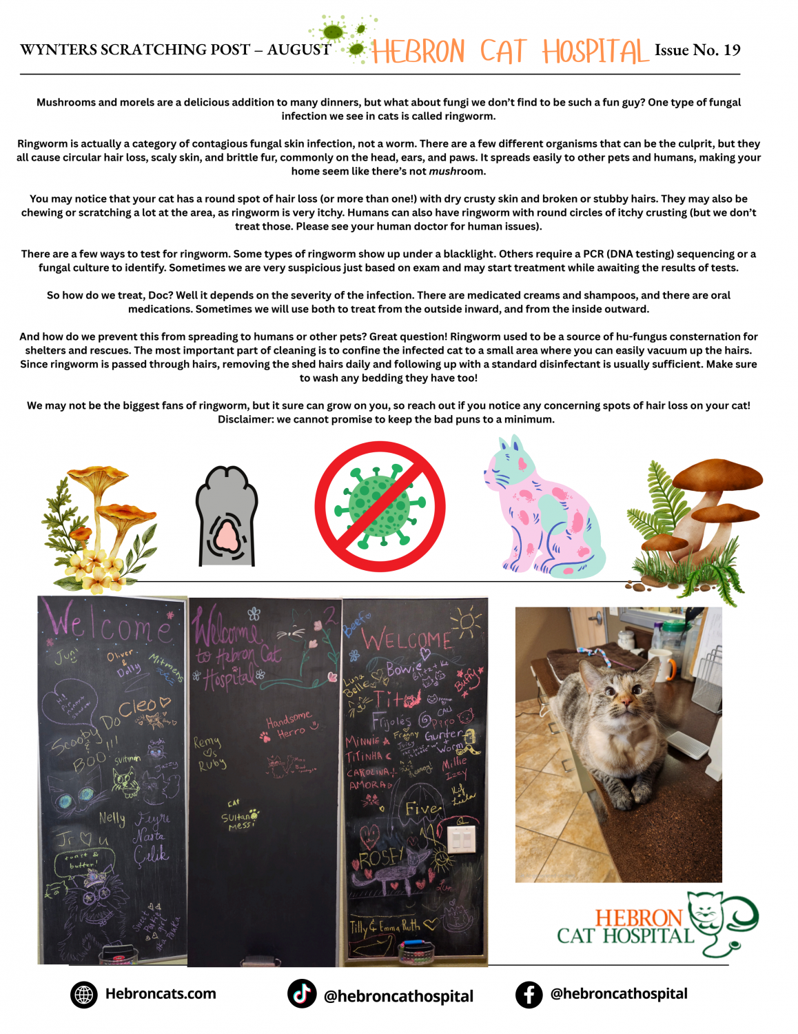 August 2026 Newsletter