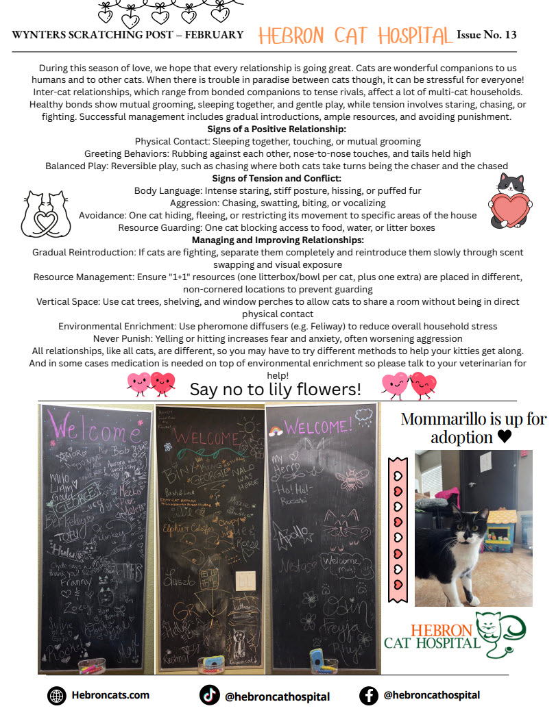February 2026 Newsletter