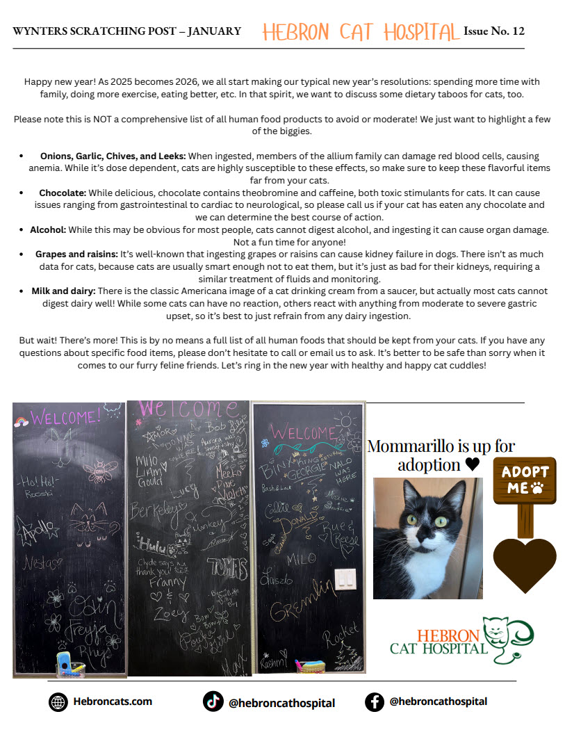 January 2026 Newsletter