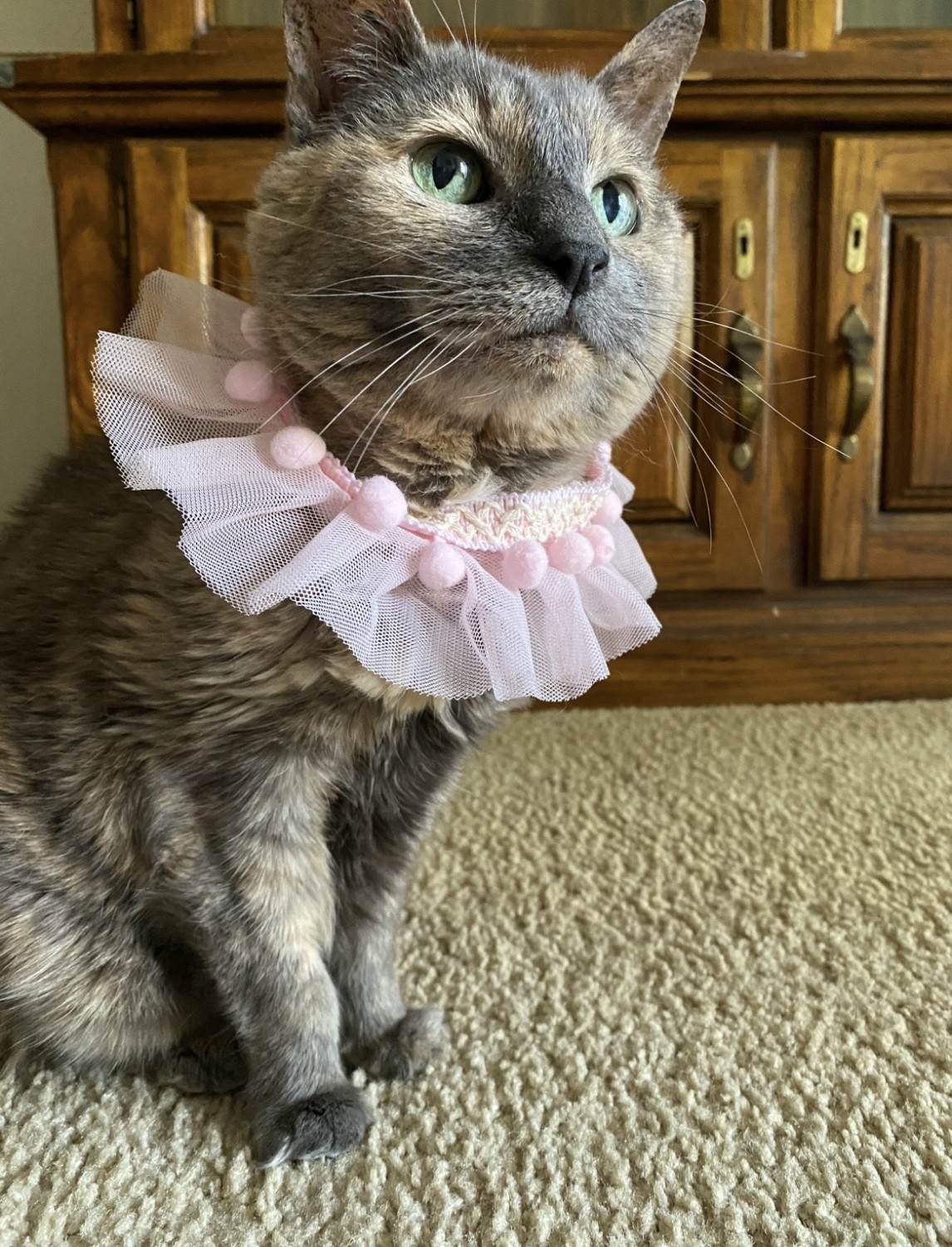 Gracie Memorial