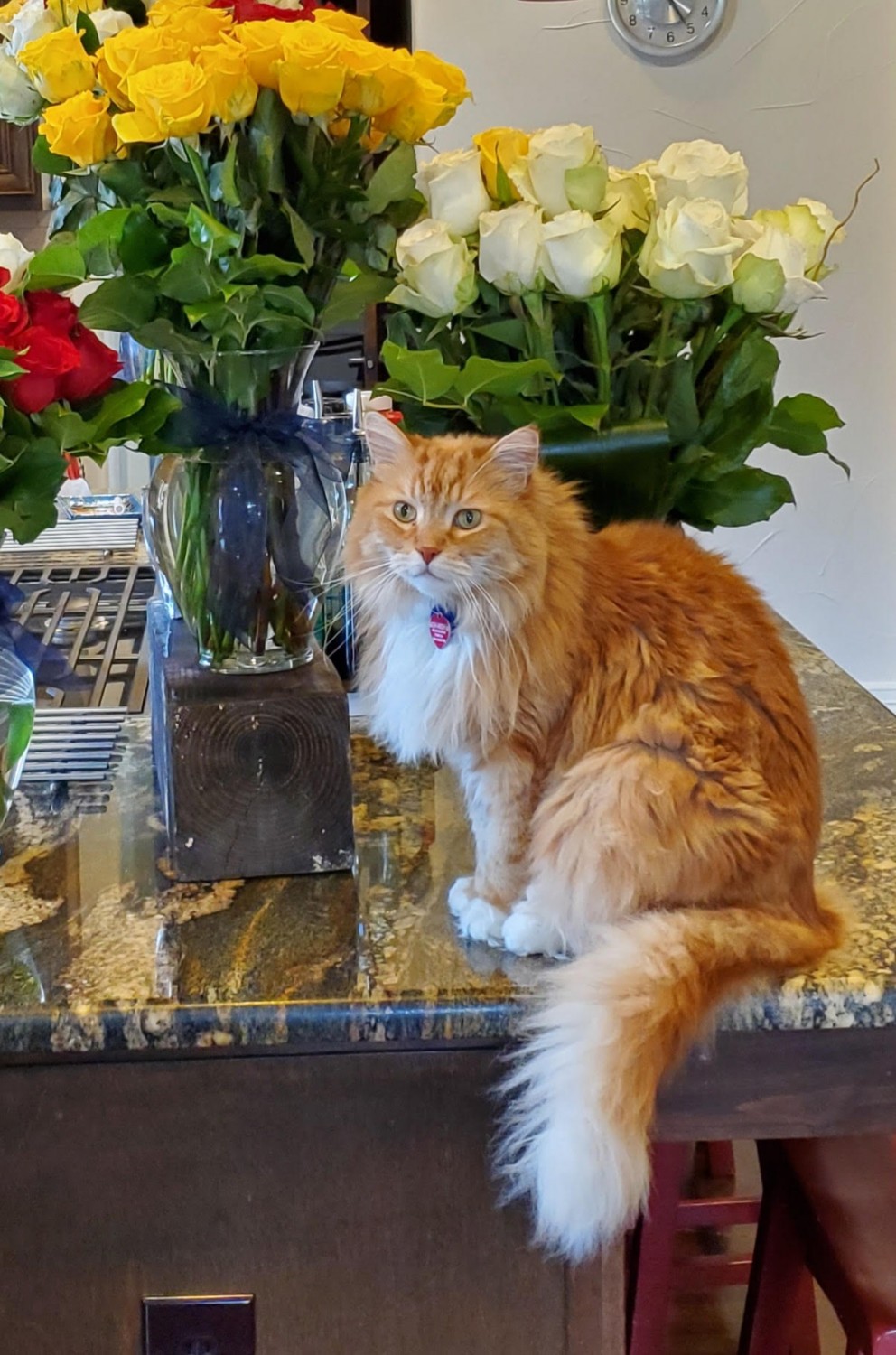 MishMish Memorial