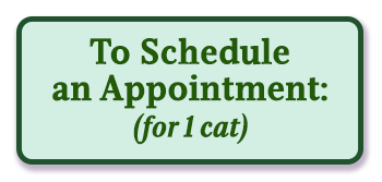 Schedule Appointment
