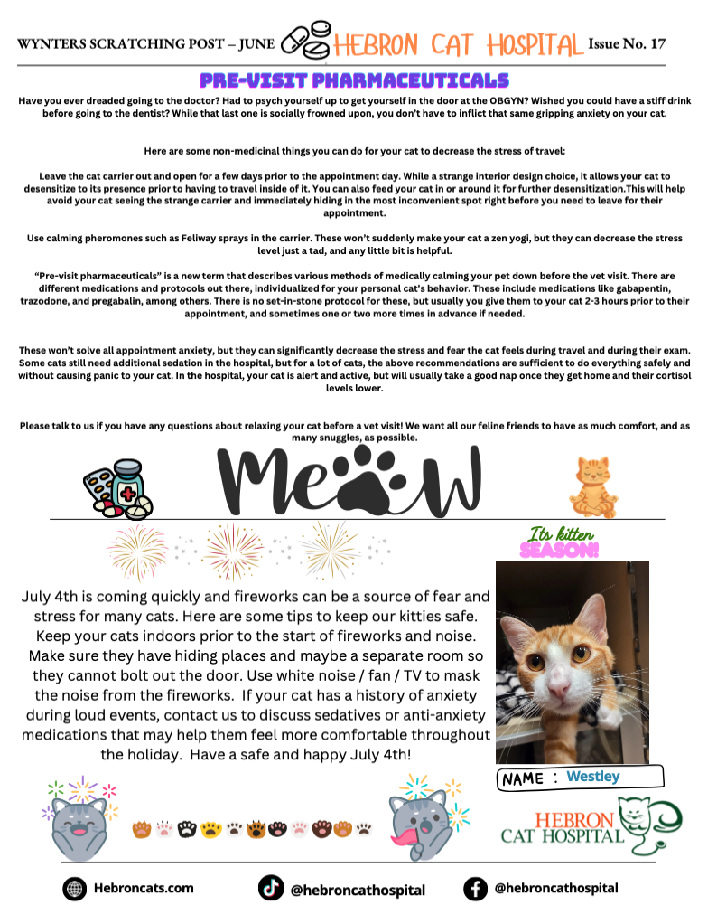 June 2026 Newsletter