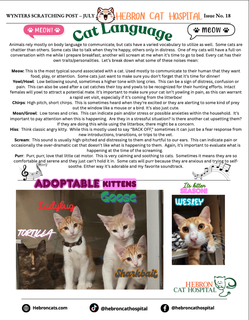 July 2026 Newsletter