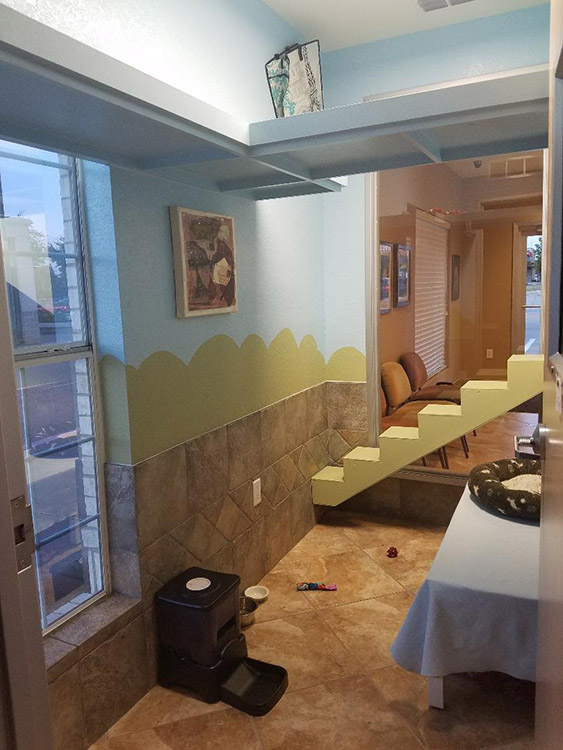 Luxury Boarding Rooms 3