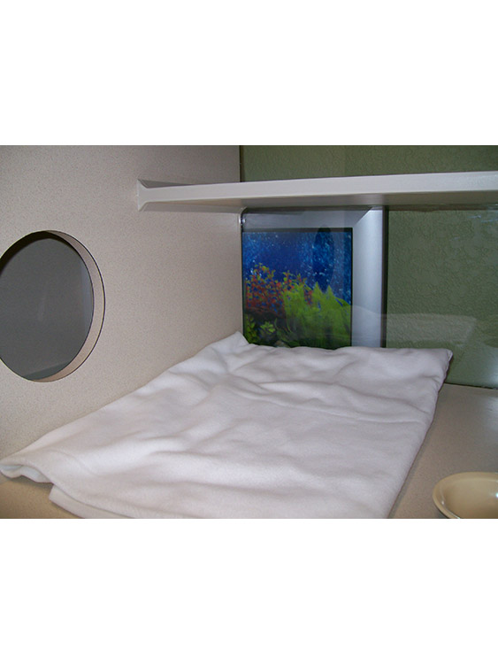 Luxury Boarding Rooms 7